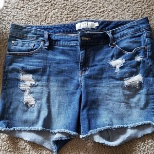 Torrid High Rise Vintage Shorts size 16
